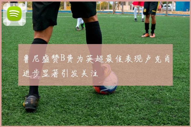 鲁尼盛赞B费为英超最佳表现卢克肖进步显著引发关注